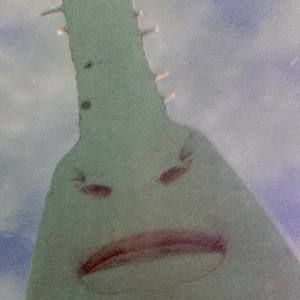 Meet your Posher, Ethan